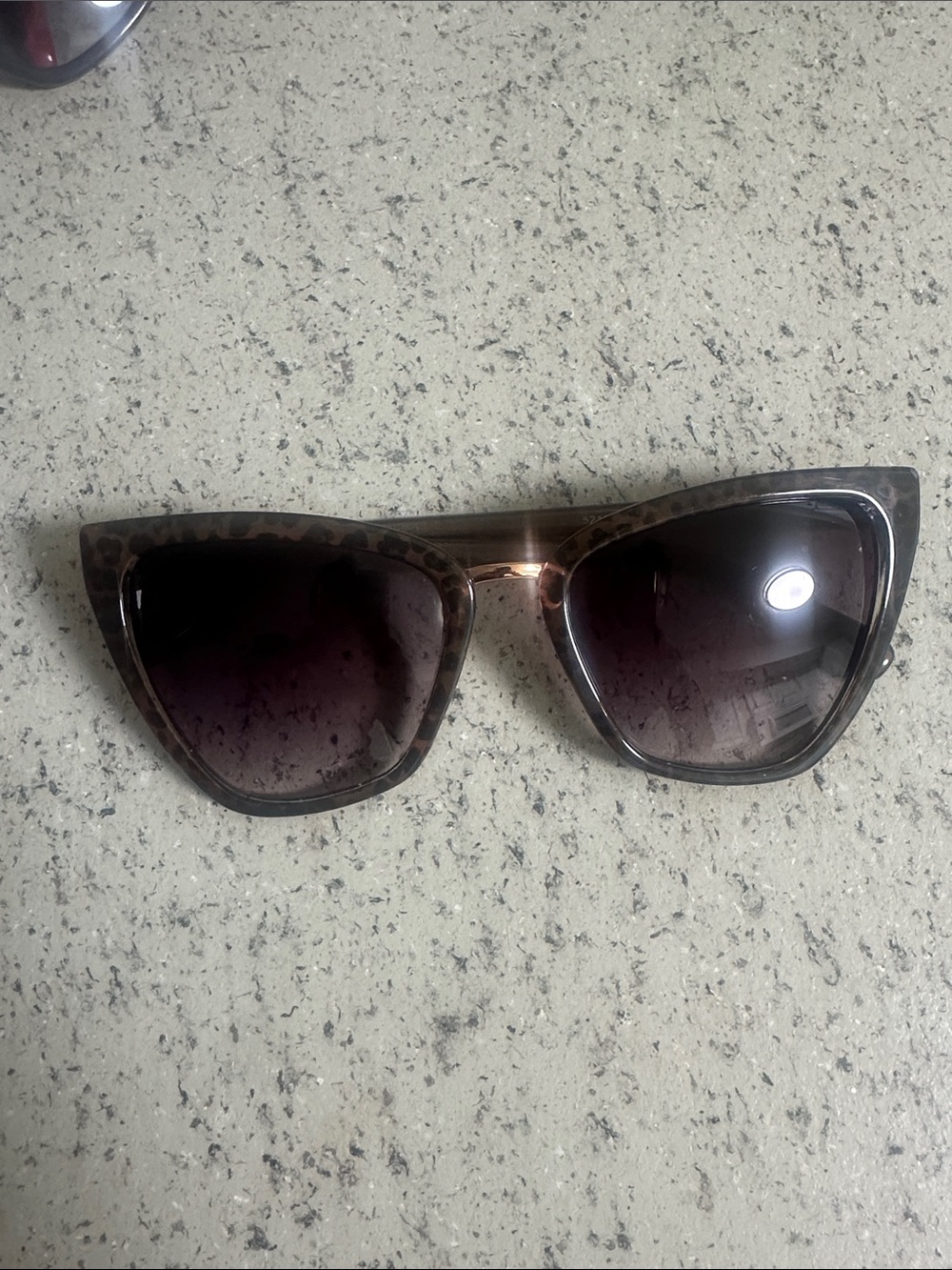 Steve Madden Cat-Eye Sunglasses - Brown Tortoiseshell